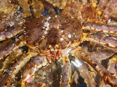 -海景壹号大酒店(滨湖店)