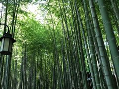 -宝岩生态观光园