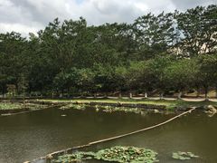 -北京师范大学(珠海校区)