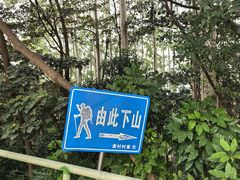 -黄埔油麻山森林公园