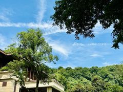 -杭州花家山庄