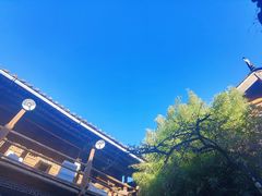 -田德能咖啡博物馆