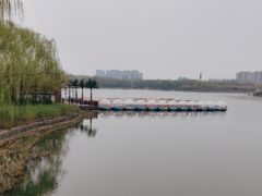 -大兴滨河森林公园