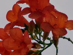 -BUND·FIVE外滩5号(天际店)