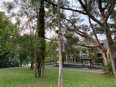 -中国科学院西双版纳热带植物园