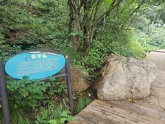 -大岭沟猕猴桃谷风景区