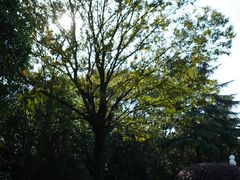 -上海东郊宾馆-地下停车库