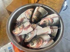 -老杨砂锅鱼庄
