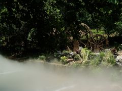 -广州白江湖森林公园