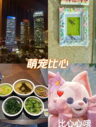 -巍阁高端月子会所