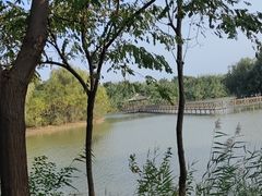 -泗洪洪泽湖湿地景区