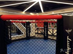 -金吉鸟健身游泳