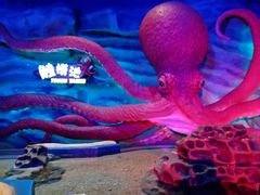 -青岛嘉年华主题乐园