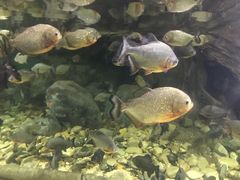 -福州罗源湾海洋世界旅游区