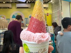 -柠檬车露(卖草地店)