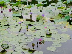 -烈士陵园(地铁站)