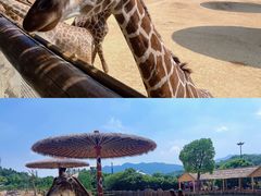 -杭州野生动物世界