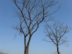 -盘龙城国家考古遗址公园