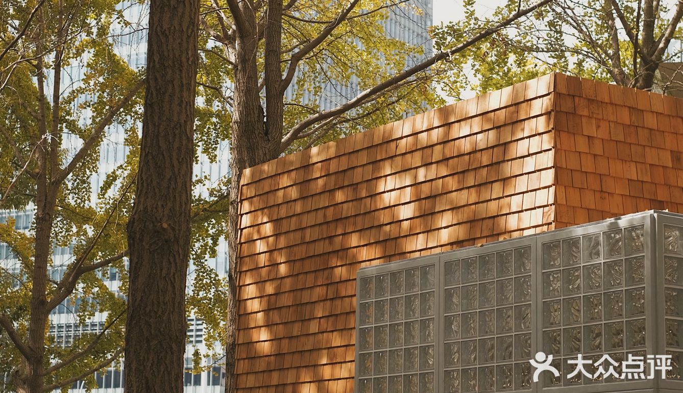 魔都秋天最火的银杏咖啡店