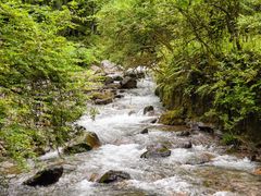 -西岭雪山大飞水景区