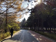 -长春市南湖公园