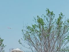 -空港花田景区