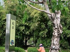-厦门园林博览苑