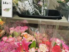 -鹿岛生活(熙地港店)