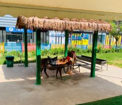 -萌宠亲子动物乐园(槐房万达店)