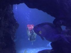 -台州海洋世界