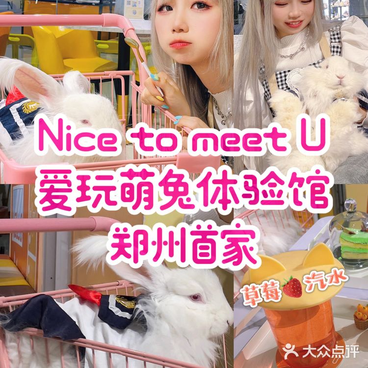 郑州探店｜Nice to meet U🐰爱玩萌兔体验馆