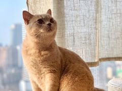 -Catmate·猫肥家润(金润铂宫店)