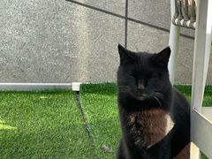 -UNI UNI(环亚凯瑟琳店)