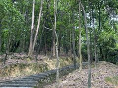 -火炉山森林公园