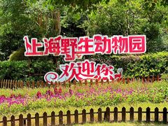 -上海野生动物园