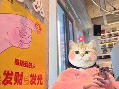 -黑胶星球(华发中城商都店)
