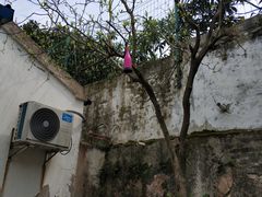 -苏州吴中太湖旅游区