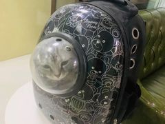 -美联众合动物医院(唯恩分院)