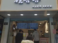 门面-娃哈哈·奶茶(武林店)