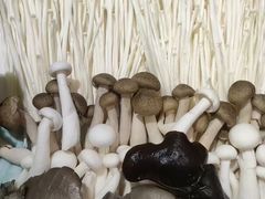 -那片草原火锅