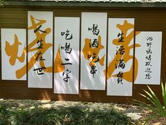 -白马涧龙池景区