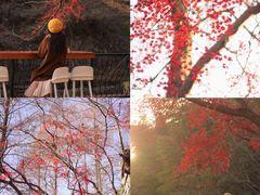 -莫干山风景区