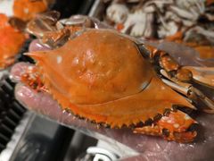 -星伦多 自助料理(圆融店)