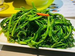 马拉盏通菜-蔡澜PHO(海岸城店)