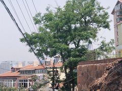-观象山公园