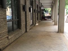 -绿地·中山里