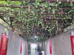 -西安汉城湖景区