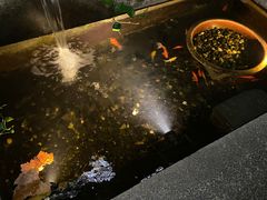 -阿姨食堂
