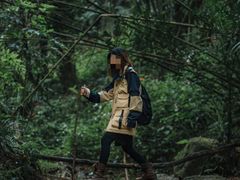 -滴水岩森林公园