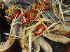 -煲来饱去冷水鱼